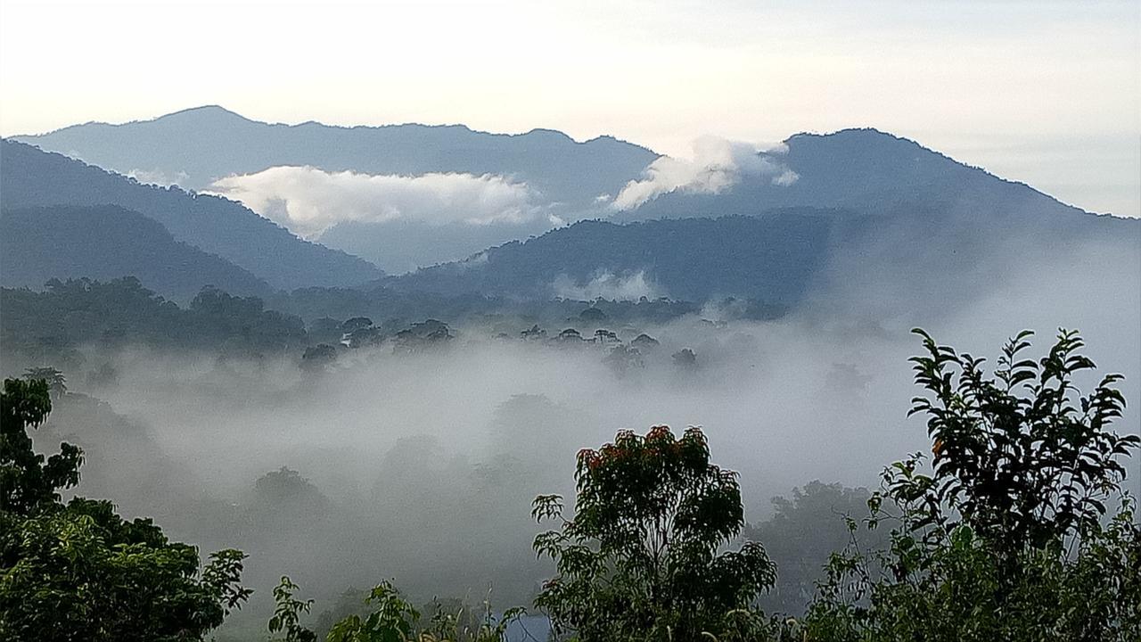 Mulu Village Room photo